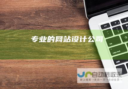 专业的网站设计公司